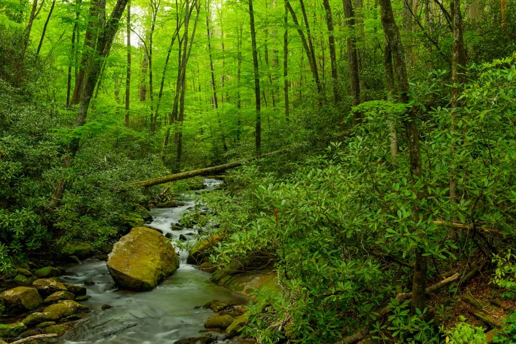 Guide to Beautiful North Carolina Sights near Nantahala Lake ...